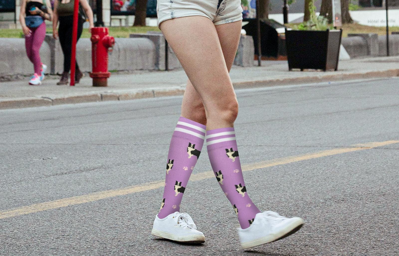 The Animal-Inspired Design Concept of Compression Stockings